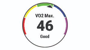 VO₂ Max, Fitness Scores, and Apparently… Living Longer